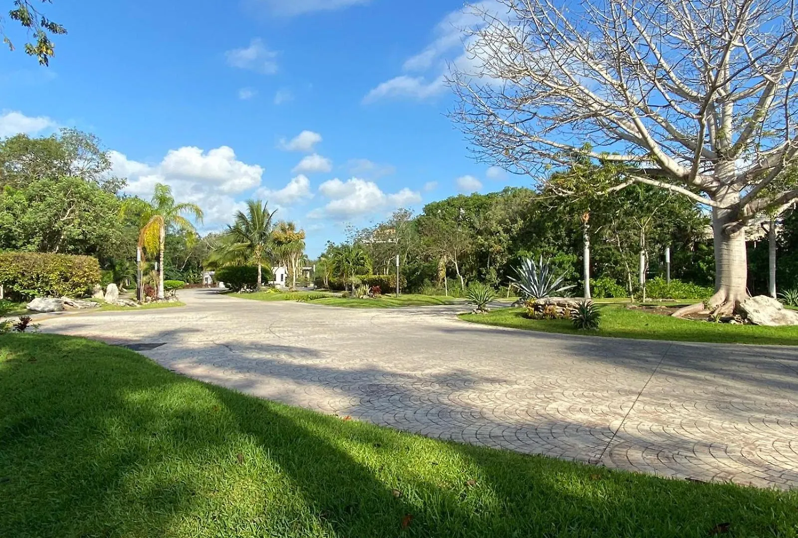 Apartament Selvakoba Claudia Playa del Carmen 0*,  Meksyk